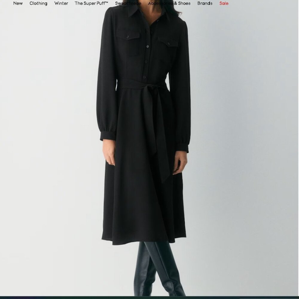 Aritzia Wilfred Songbird Dress - Black, NWT